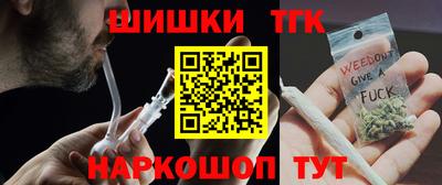 мдпв Татарск