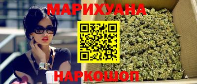 мяу мяу мука Тара