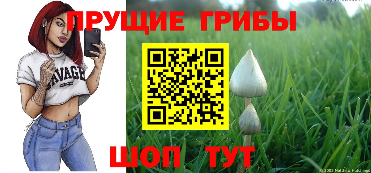 Нурлат  Галлюциногенные грибы прущие грибы  Вход с VPN 